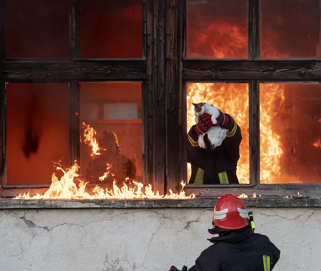 Fire in a plastics factory in the Ferrara area: two seriously injured. The mayor: "Stay at home with the windows closed"