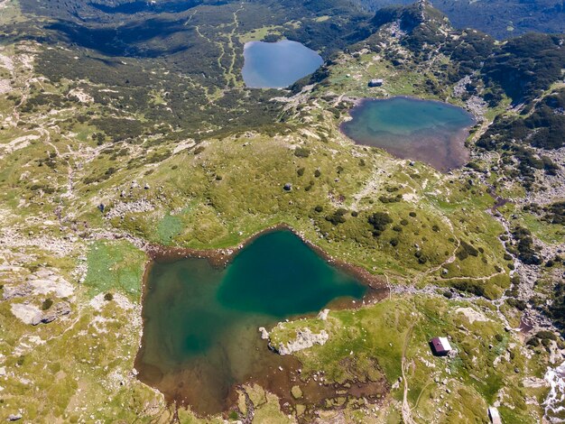 Abruzzo, the spectacle of deer swimming in Lake San Domenico: the video