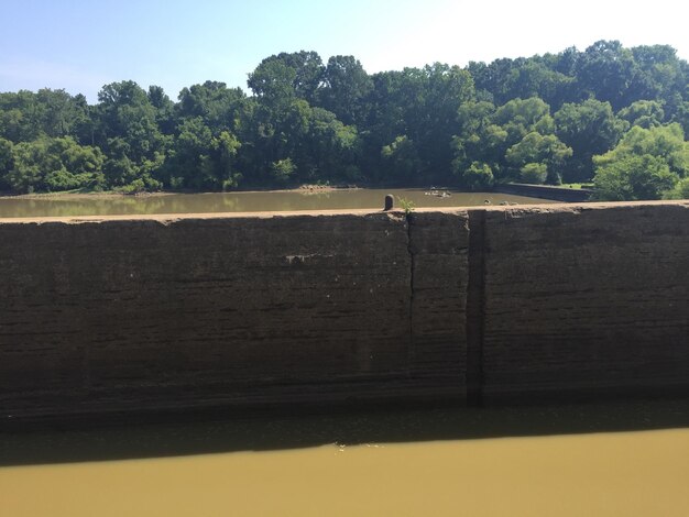 Drought, 29 Lucanian municipalities without water for 12 hours a day for weeks: protest breaks out. The solution? Getting help from the "polluted" river